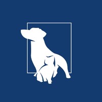 Pet Portraits