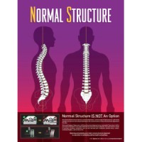 Pinnacle Chiropractic