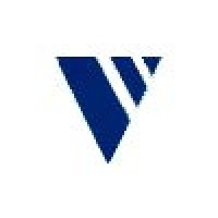 The V-Group, Inc.