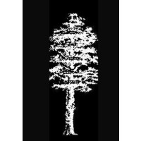 Jenkinson, Kellahan, Thompson, & Reynolds P.A.