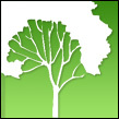American Arbor Care Inc