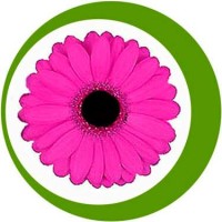La Floristería en España Online