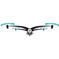 _Drone_Services_