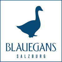 artHotel Blaue Gans