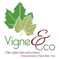 Vigne&Co