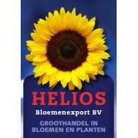 Helios Bloemenexport BV