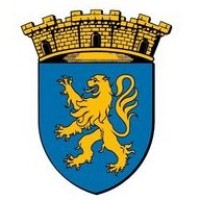 COMMUNE DE SAVIGNY SUR BRAYE