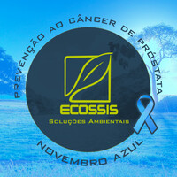 Ecossis Soluções Ambientais