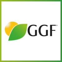 GGF em Campo