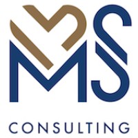 MS Consulting