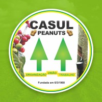 Cooperative Casul