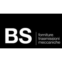 B.S srl