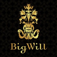 Big Will Group N.V.