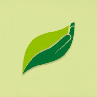Serviço Florestal Brasileiro