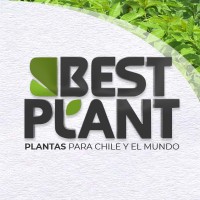 Bestplant