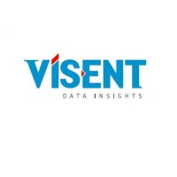 VÍSENT Data Insights