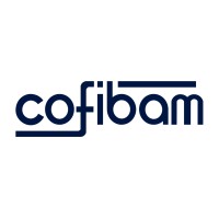 COFIBAM - Electric Conductors