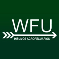 Wright Fernandez Ursini SA