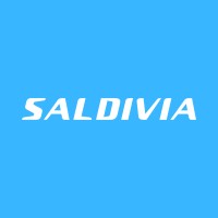 Saldivia Buses