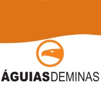 Águias de Minas Comércio e Eletrônicos