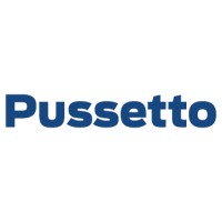 Ford Pussetto