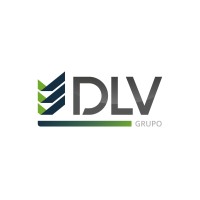 Grupo DLV