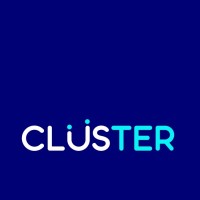 Cluster Capacitación