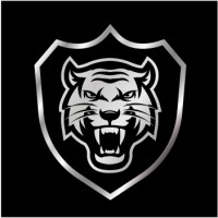 SATFORCE Security Group