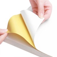 SHANDONG ZHONGLIN PACKAGING MATERIALS CO., LTD