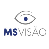 MS Visão