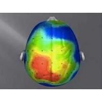 Bewegen voor je Brein