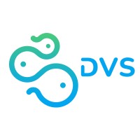 DVS TECHNOLOGY