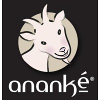 Lácteos Ananké C.A.