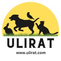 Ulirat Pet Supplies and Accessories Trading
