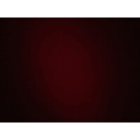 Página No disponible