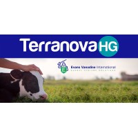 Terranova HG