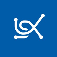 LSX Consulting