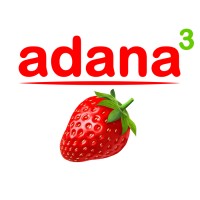 Adana 3