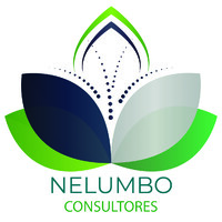 Nelumbo Consultores