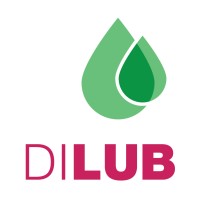 Dilub Comercio De Lubrificantes Ltda