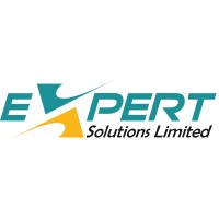 THE EXPERT SOLUTIONS LTD