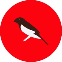 Supermercados Curió