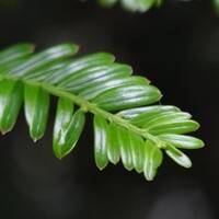 Geoambiente SAS