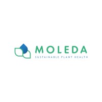 Moleda