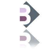 BAUVIR - Banque & Assurances