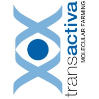Transactiva srl