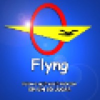 FLYNG COMERCIO DE PRODUTOS NAO PERECIVEIS EIRELI