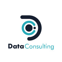 DATA CONSULTING SPAIN
