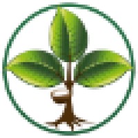 Seringueira.com