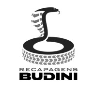 Recapagens Budini